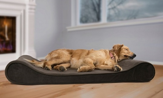 Orthopedic Dog Bed