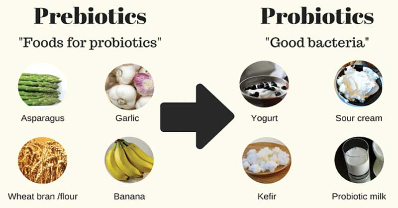 Probiotics and prebiotics
