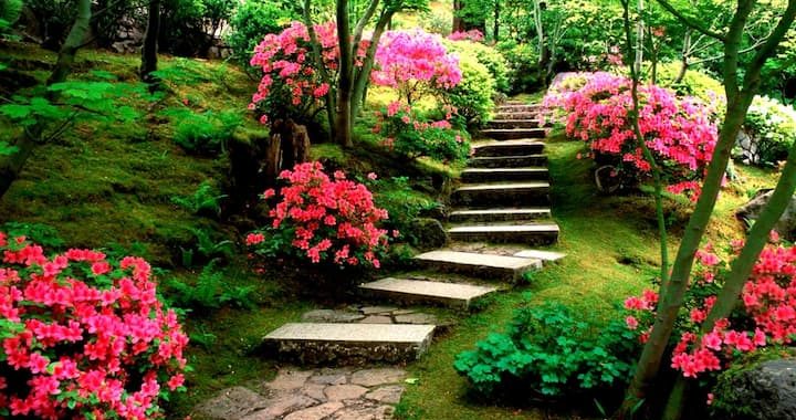 natural flower garden