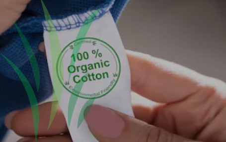 Organic-cotton