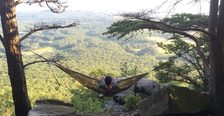 man laying in tactical hammock placed on trees and it has great view